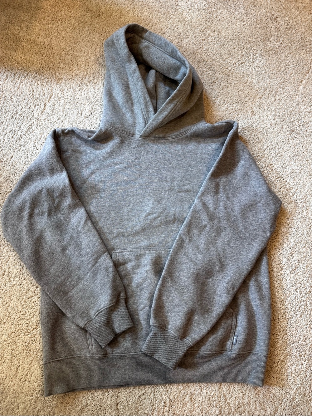Aritzia TNA hoodie